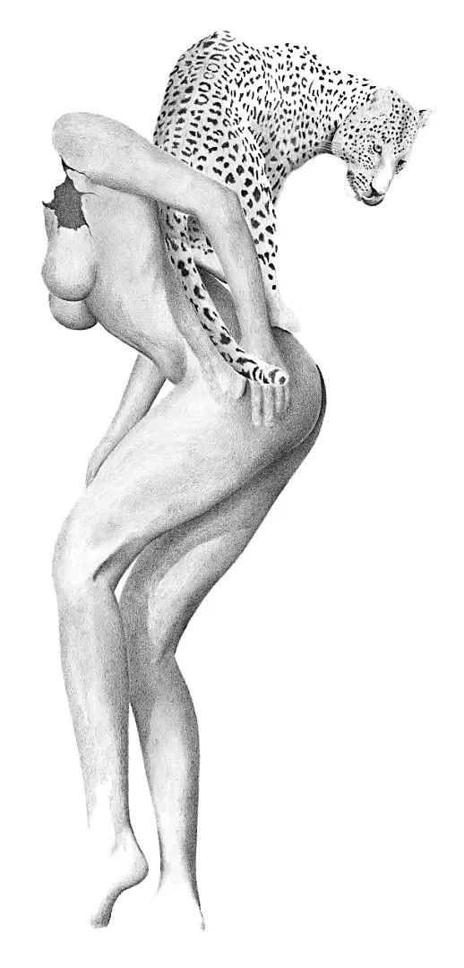 A graphite study of a leopard in the thicket, illustrating the master camouflage of the unseen observer.