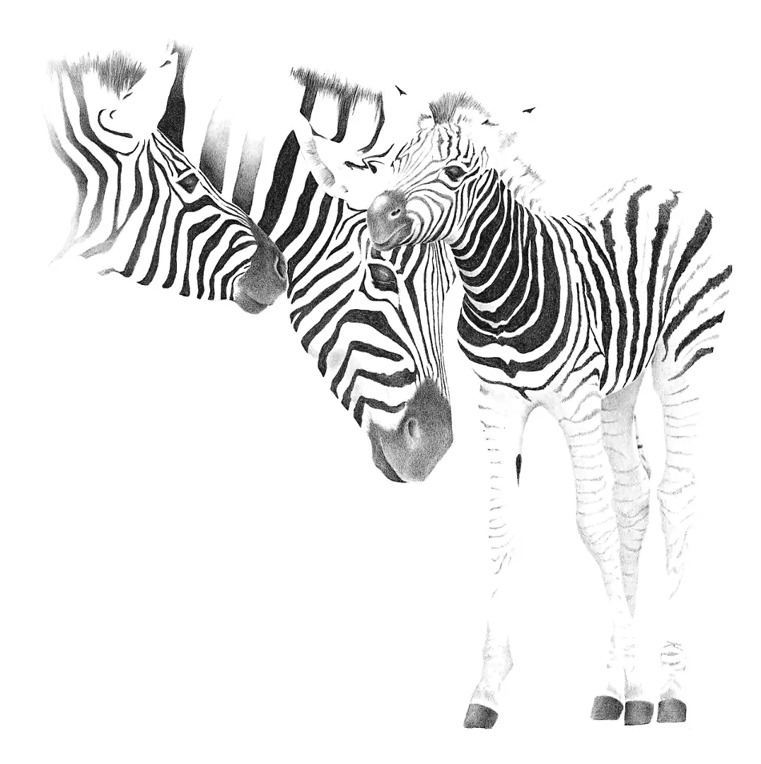 A somber graphite study of the extinct Quagga, serving as a haunting reminder of the fragility of even the most abundant icons.