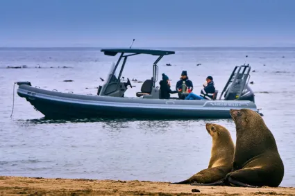 A marine expedition to Pelican Point, documenting the contrast between the deep Atlantic and the skeletal desert coastline.