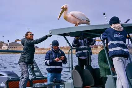 Capturing the raw coastal atmosphere of a Pelican Point boat tour, highlighting the unique intersection of desert and sea.