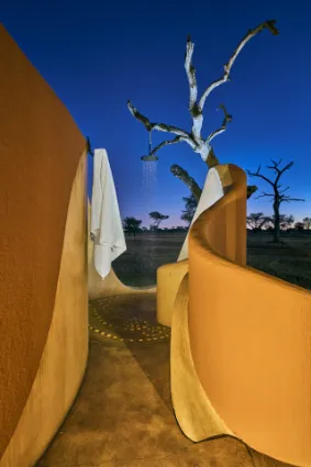 A structural detail of the private outdoor shower, where organic curved walls frame the skeletal beauty of the thorn-tree landscape under a twilight sky.