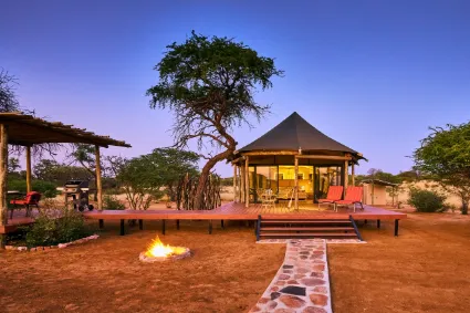 A structural view of the tented suites at Camp Kalenga, illustrating their low-impact integration into the ancient Kalahari landscape.