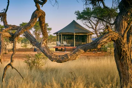 An exterior study of the safari tents at dusk, showcasing the warm, glowing sanctuary of the camp against the vast desert sky.