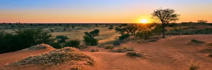 A panoramic study from the lodge, capturing the vast Karoo-Kalahari transition where the savannah meets the iconic shifting red sands.