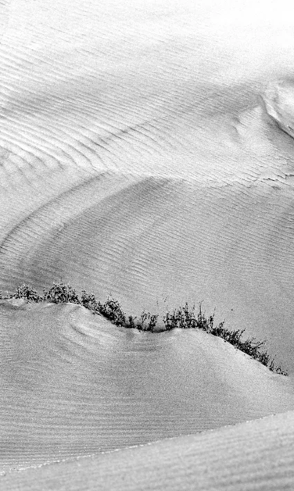An abstract study of light and shadow on Namibian sand dunes, representing the minimalist aesthetic and geometric precision of Leopard Eye's commercial work.