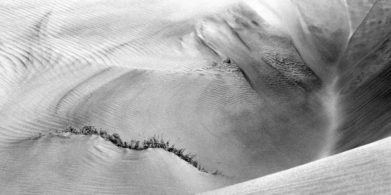 Sinuous silhouettes of sand dunes against a stark sky, exemplifying the fine-art photographic prints curated within the Leopard Eye archive.