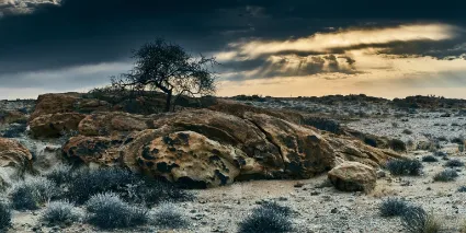 Sunrise over the gravel plains south of the Brandberg, featuring a solitary tree tenaciously anchored to a rocky outcrop amidst the vast emptiness.