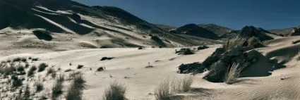 The surreal intersection of dunes and dark rocky outcrops in the Hartmann Valley, a master study of desert contrast and form.