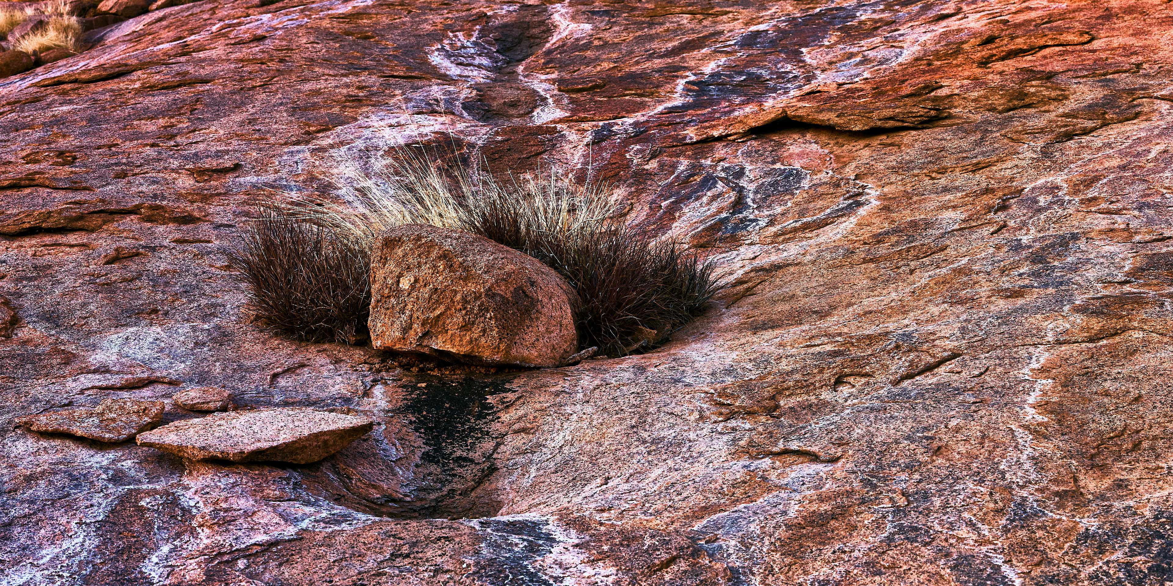 Close-up view of a reddish-brown rock surface with natural textures and patterns, featuring resilient grass in the Brandberg, Namibia.