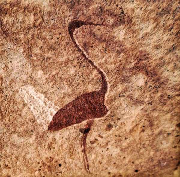 Ancient Bushman rock painting at Crain Rock in the Brandberg, depicting symbolic figures in a rugged natural setting.