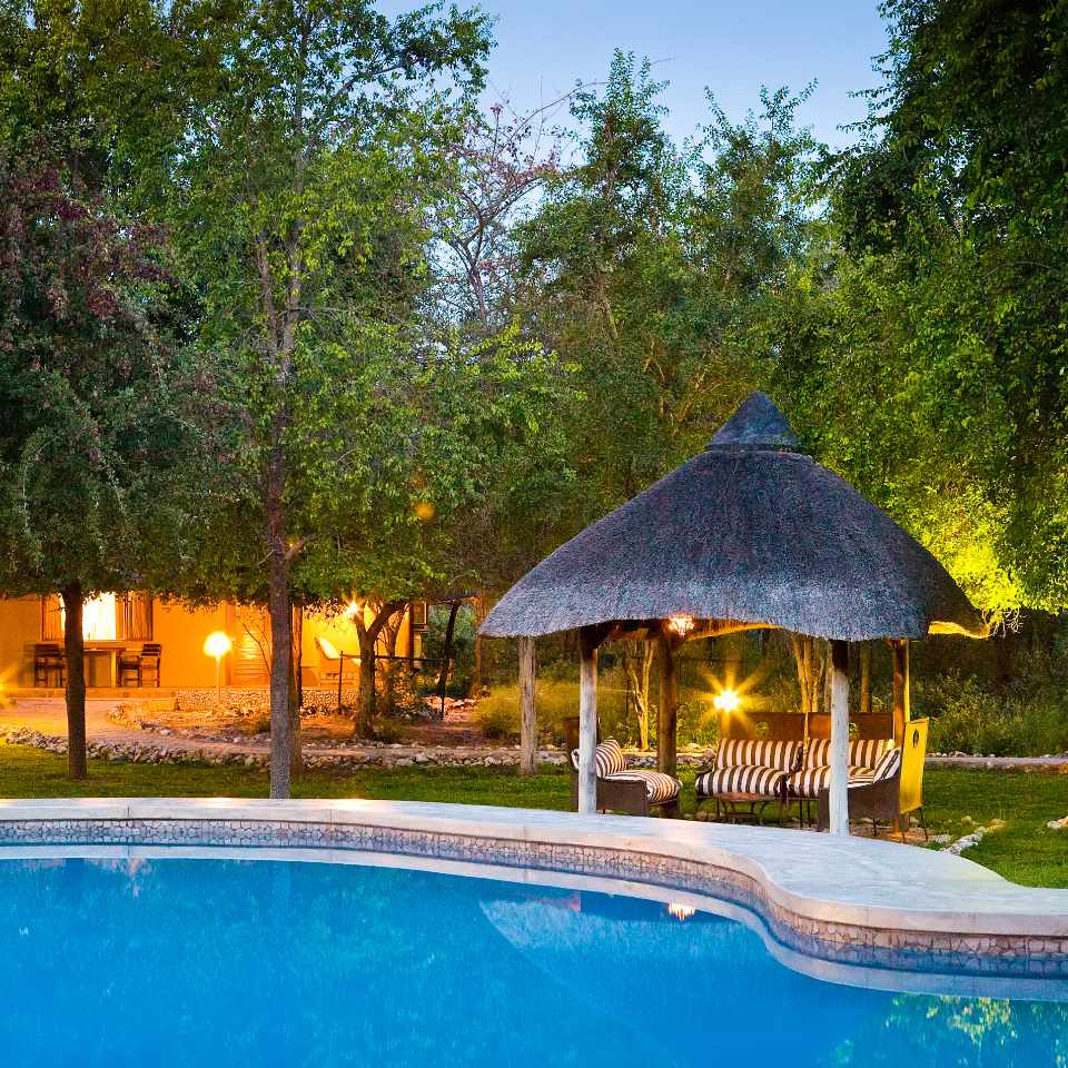 Tranquil poolside retreat at Mushara Lodge, flanked by lush greenery and a thatched gazebo, offering a peaceful oasis on the edge of Etosha National Park.