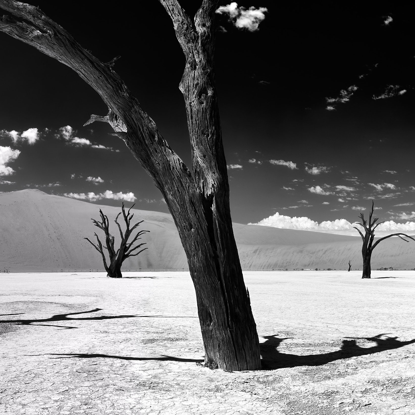 Deadvlei's Timeless Beauty: A captivating black and white image of Deadvlei's iconic dead camel thorn trees, set against the stark, cracked clay pan and framed by the towering dunes of Namib-Naukluft Park.