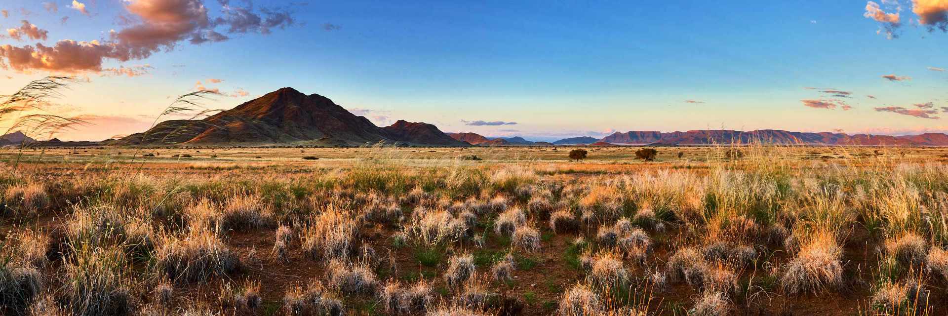 Photograph of the Desert Homestead area in Sossusvlei, transformed by rainfall into a landscape of stark plains covered in long yellow grass, captured during the blue hour with exaggerated hues.