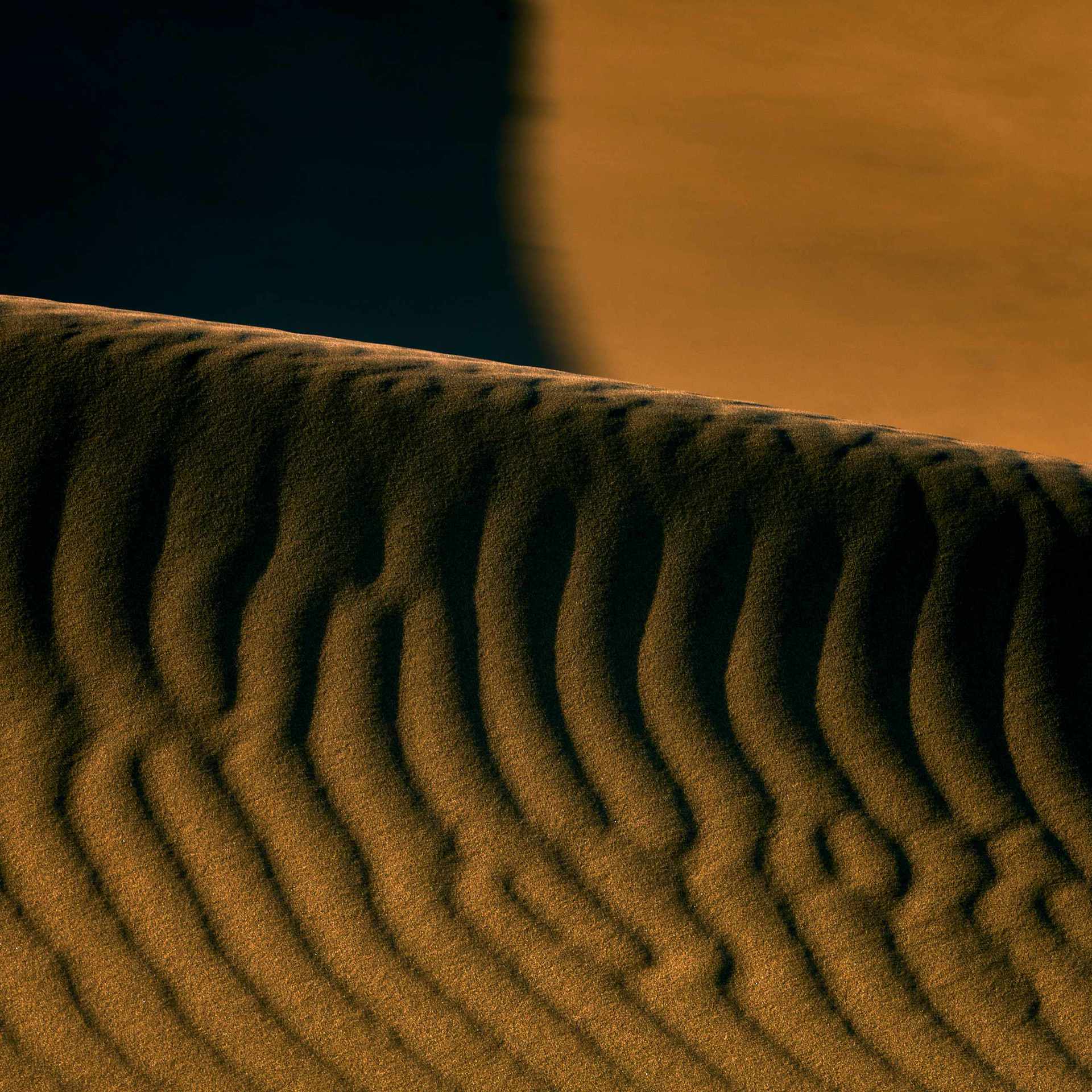 Abstract photograph of surreal patterns on dunes, enhanced by the interplay of shadow and light.