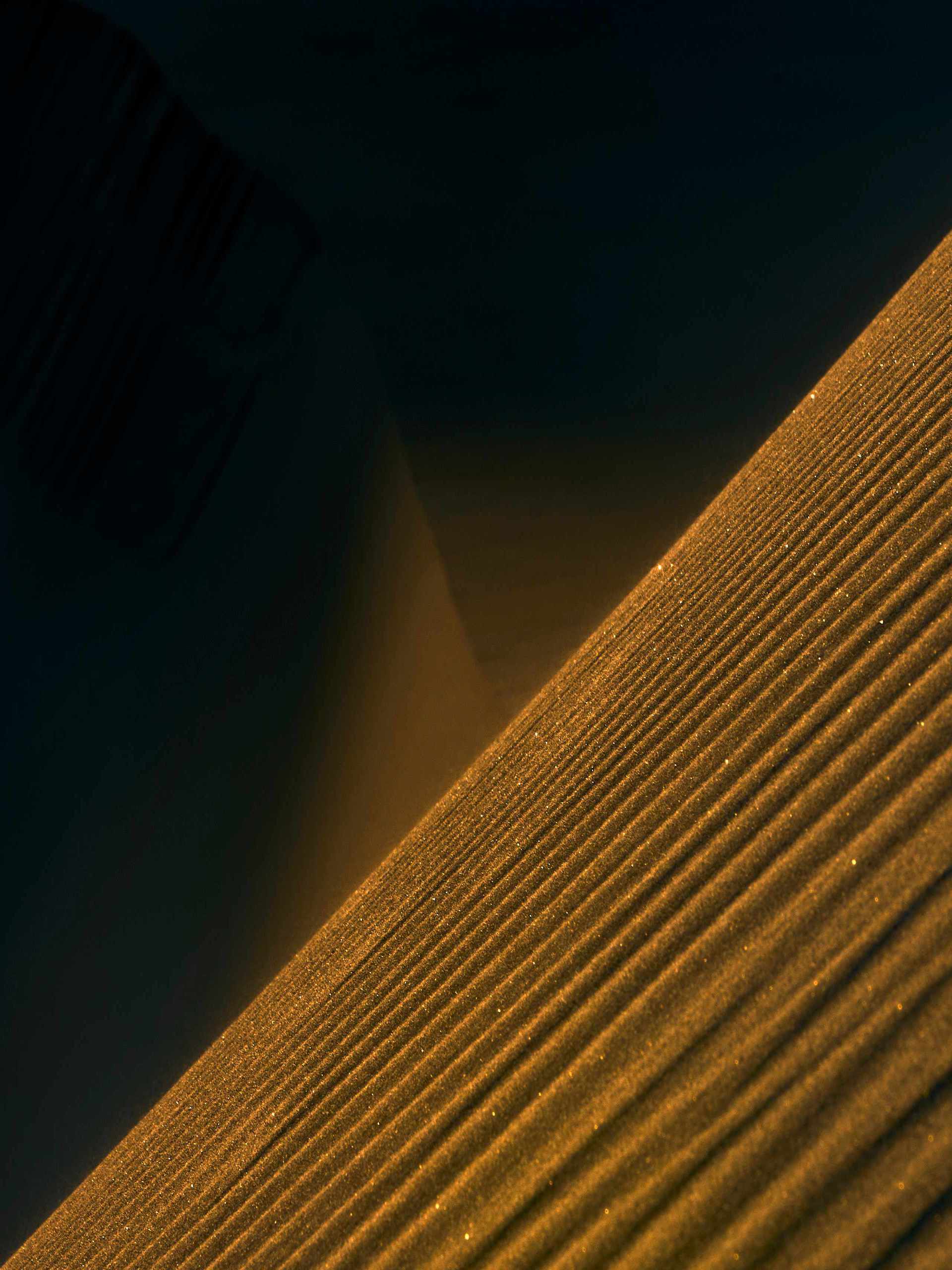 Abstract photograph of a dune bathed in the warm, golden light of the hour just before sunset, highlighting the unique patterns and textures of the desert landscape.”