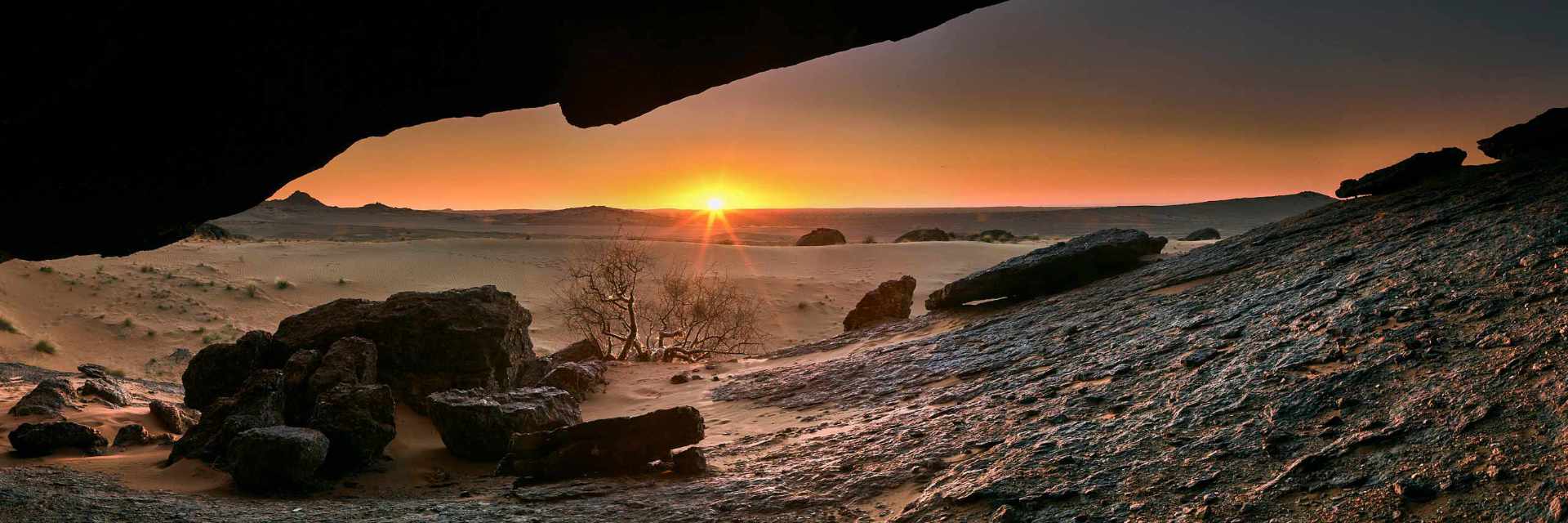 Photograph of the sunset over a paper tree at Hartmann's Borgenfels in Northern Namibia, with the distant coastal dune belt under the colorful sky.