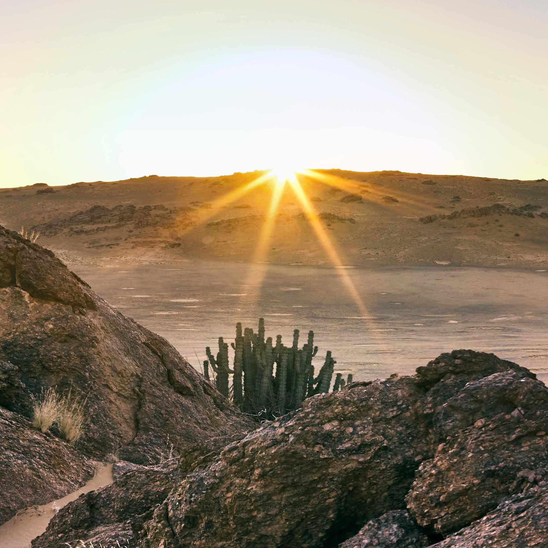 Photograph of a sun star effect in the lens, overlooking the vast dunes in Northern Namibia, creating a dramatic and breathtaking landscape scene.