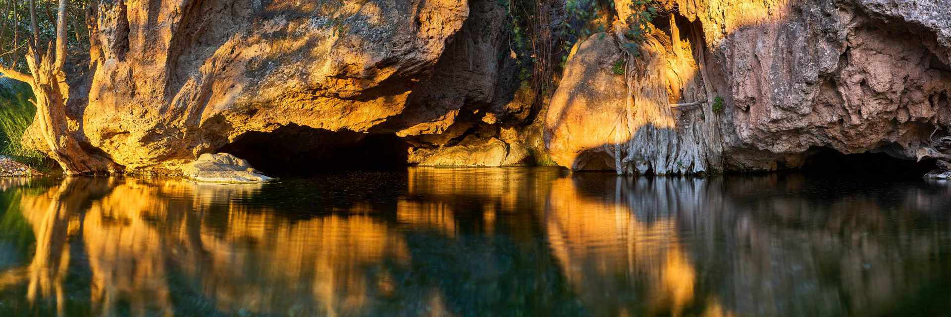 Photograph of the spring-fed pools at Ongongo Falls in the Kaokoveld area of Namibia, featuring the roots of a wild fig tree extending down a rock cliff into the pool on the left side of the frame.